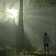 Screenshot: Shadow Of The Colossus (2018)/Sony